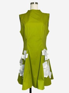 Crosby NWT Declan Dress in grasshopper floral embroidery preppy high neck M